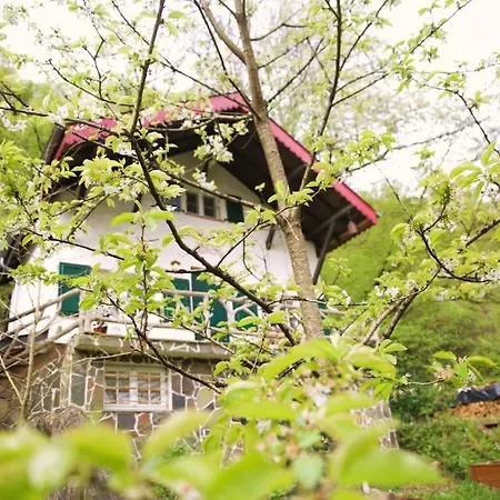 Appartement Charming With River View *