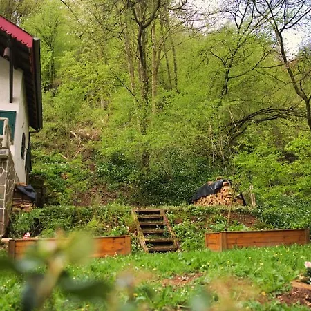 Appartement Charming With River View Michelau